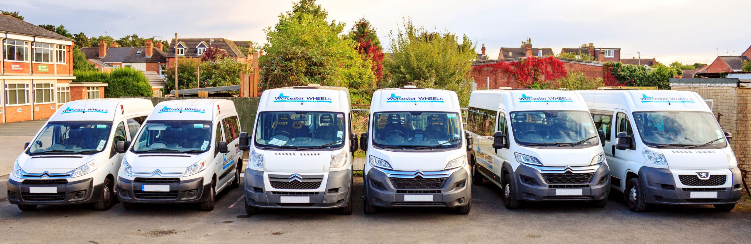 ww-buses